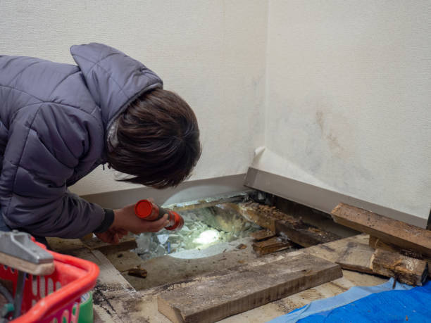 Best Forensic Mold Investigation  in Iva, SC