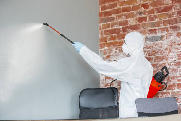 Best Dehumidification Services  in Iva, SC