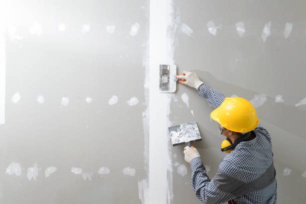 Environmental Consulting for Mold Prevention in Iva, SC