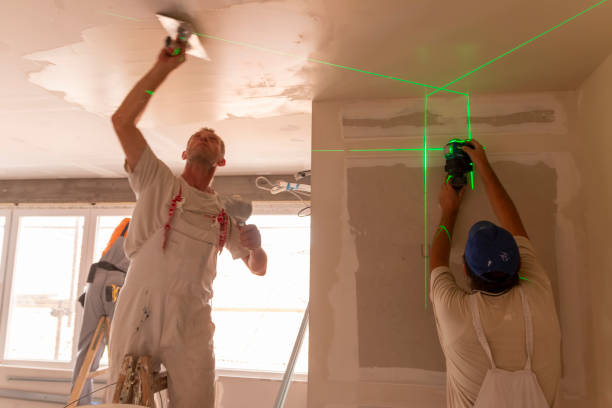 Best Mold Damage Restoration  in Iva, SC